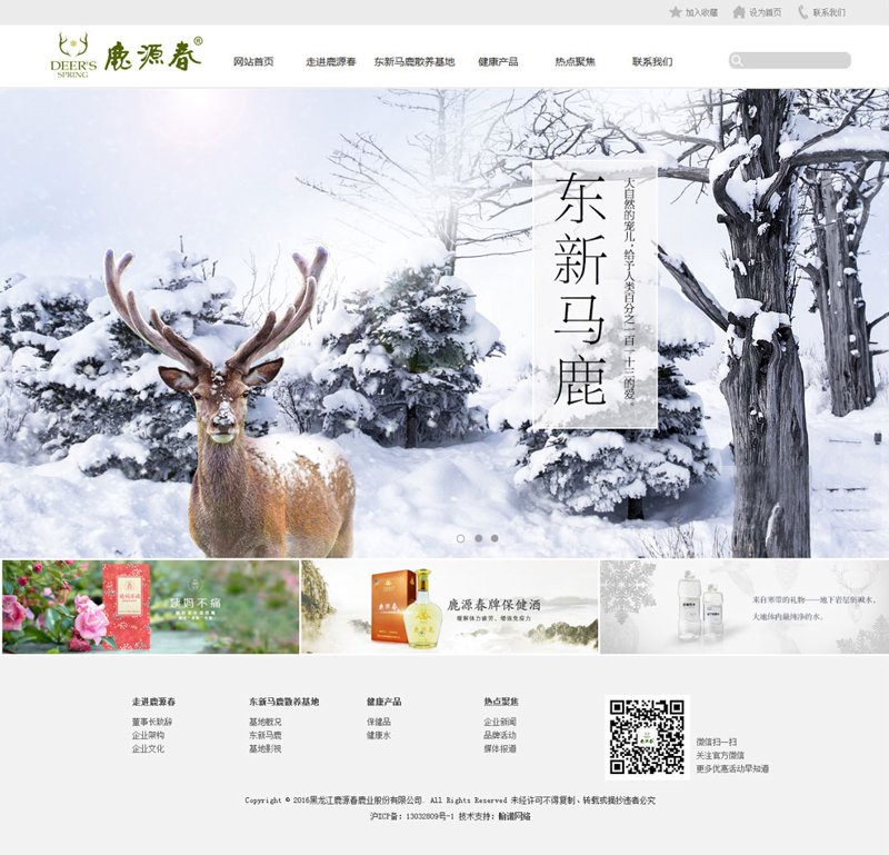 哈尔滨网站建设
